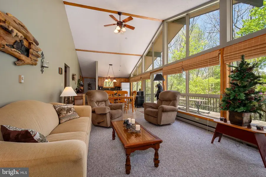 365 Ridge Rd, Swanton, MD 21561 - #3