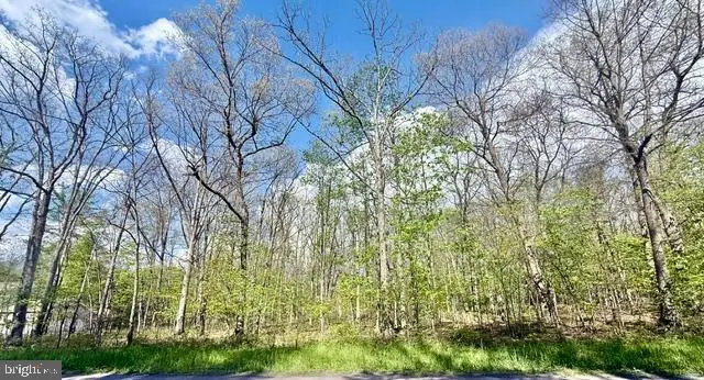 Turkey Neck Rd #lot 12, Swanton, MD 21561 - #2