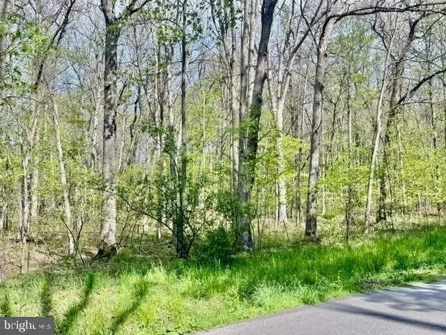 Turkey Neck Rd #lot 12, Swanton, MD 21561 - #3