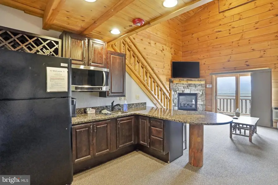 235 Cabin Lodge Rd, McHenry, MD 21541 - #2