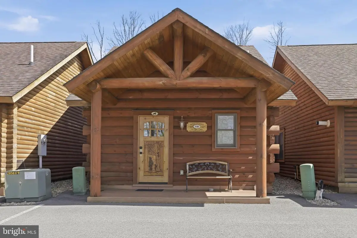 291 Cabin Lodge Rd, McHenry, MD 21541 - #1