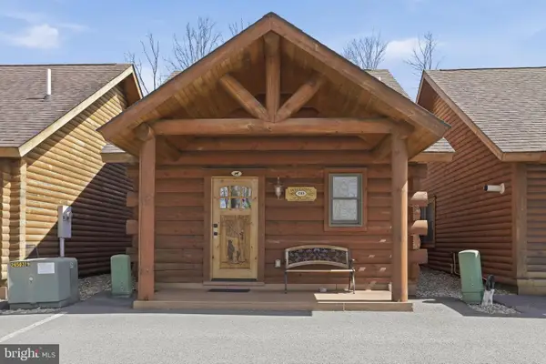 291 Cabin Lodge Rd, MC HENRY, MD 21541