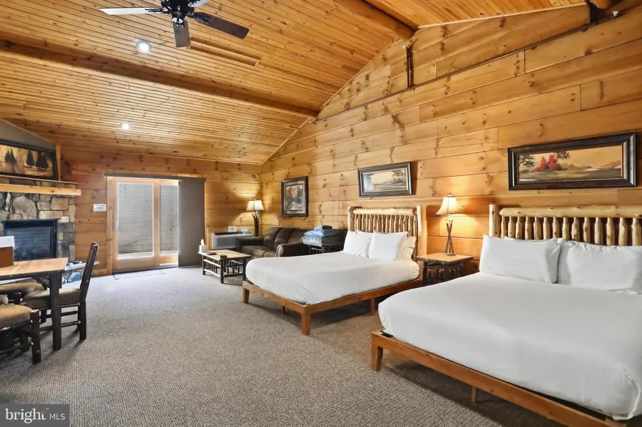 291 Cabin Lodge Rd, McHenry, MD 21541 - #2