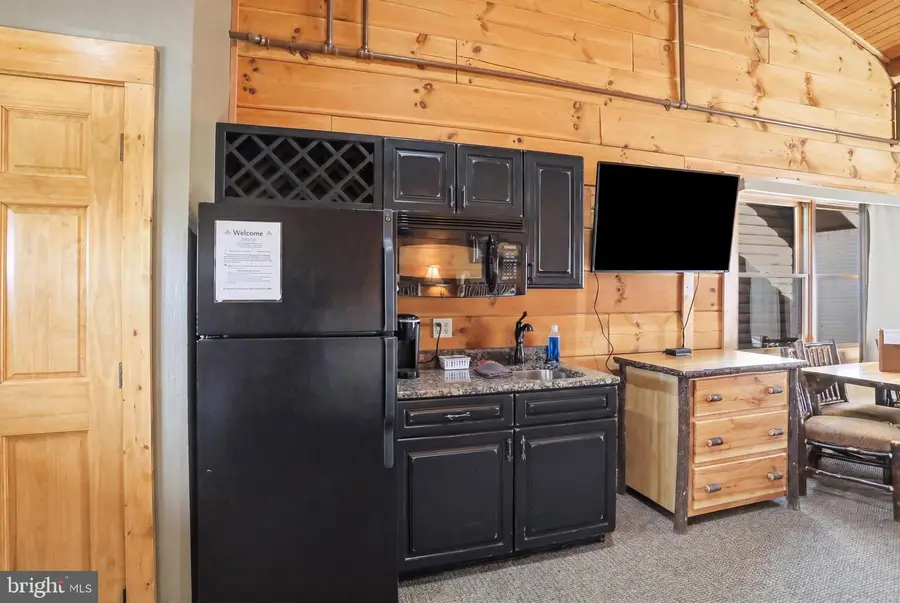 291 Cabin Lodge Rd, McHenry, MD 21541 - #3