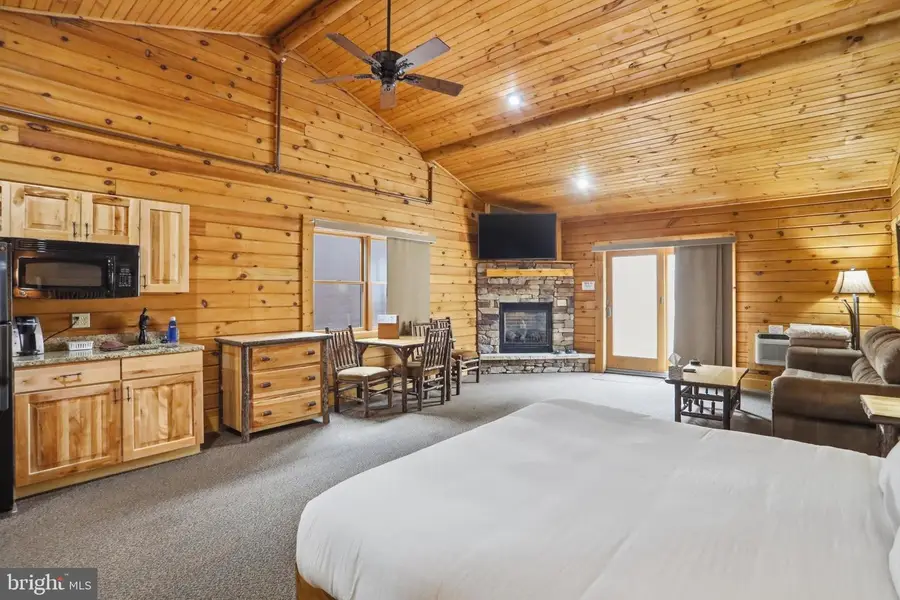 285 Cabin Lodge Rd, McHenry, MD 21541 - #2