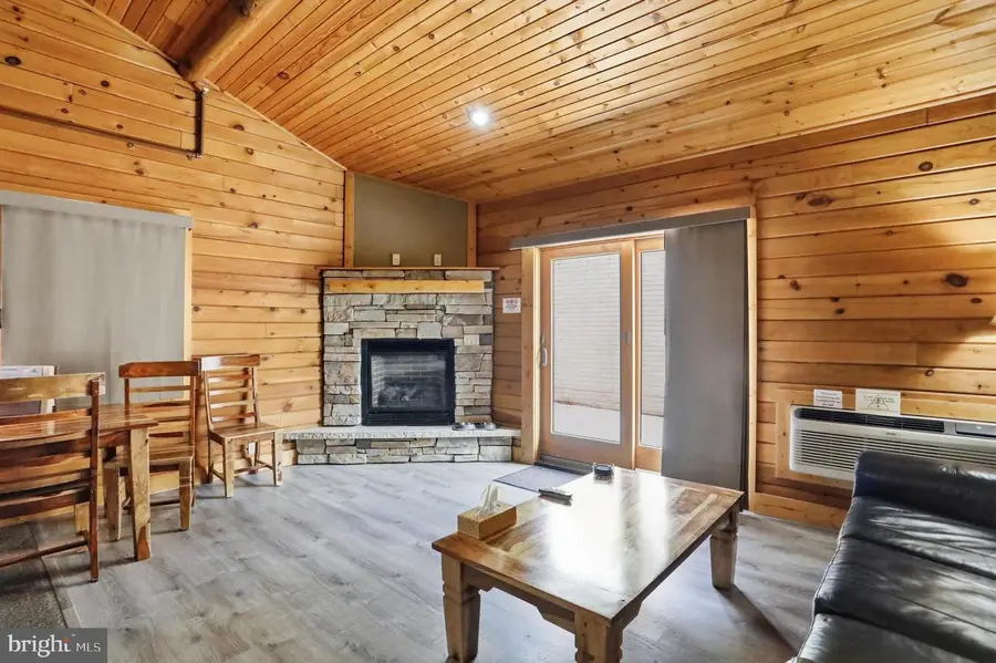 299 Cabin Lodge Rd, McHenry, MD 21541 - #2