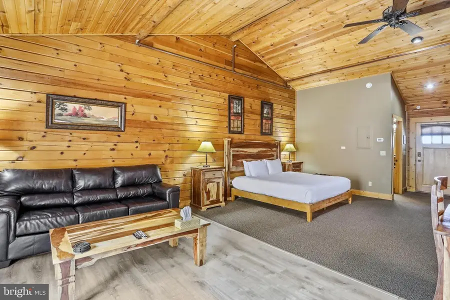 299 Cabin Lodge Rd, McHenry, MD 21541 - #3