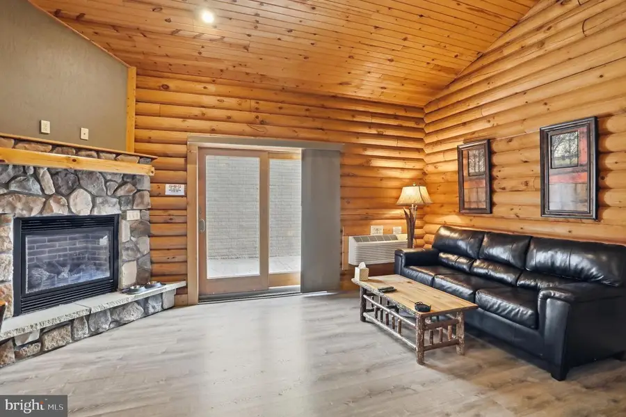 305 Cabin Lodge Rd, McHenry, MD 21541 - #3