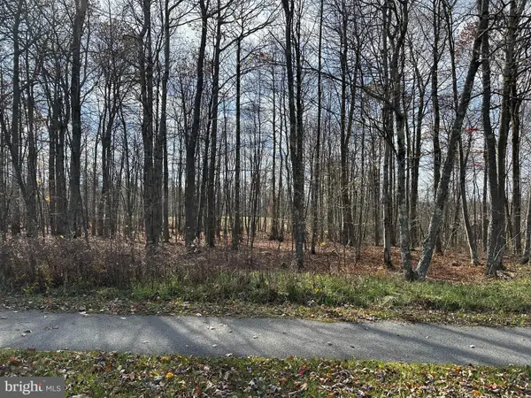 60 Sundance Way, MC HENRY, MD 21541