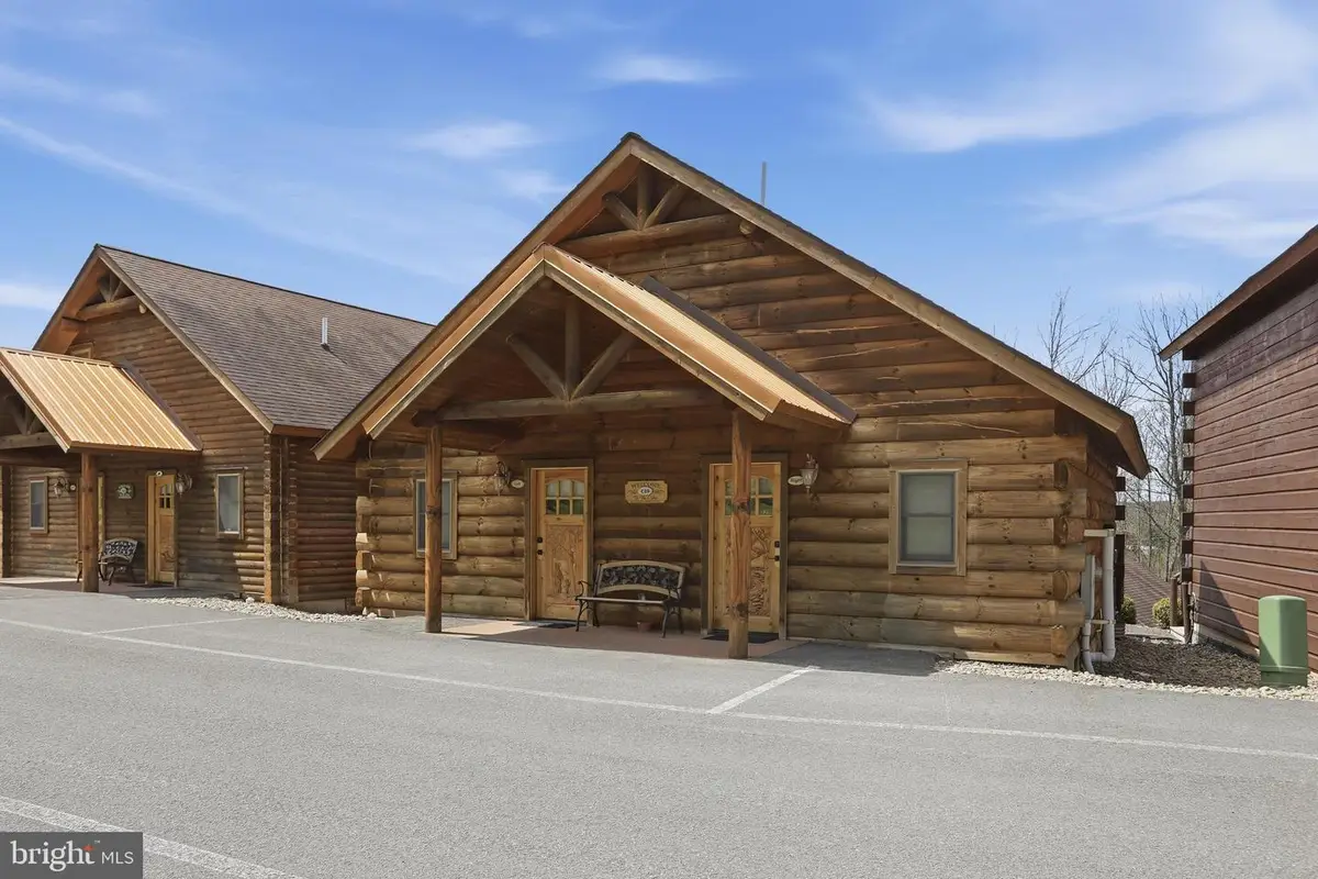 221 Cabin Lodge Rd, McHenry, MD 21541 - #1