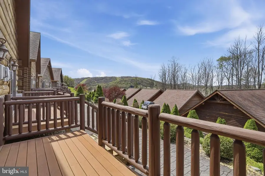 221 Cabin Lodge Rd, McHenry, MD 21541 - #2