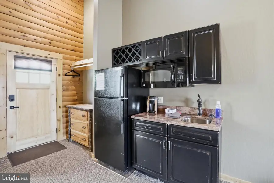 199 Cabin Lodge Rd, McHenry, MD 21541 - #3