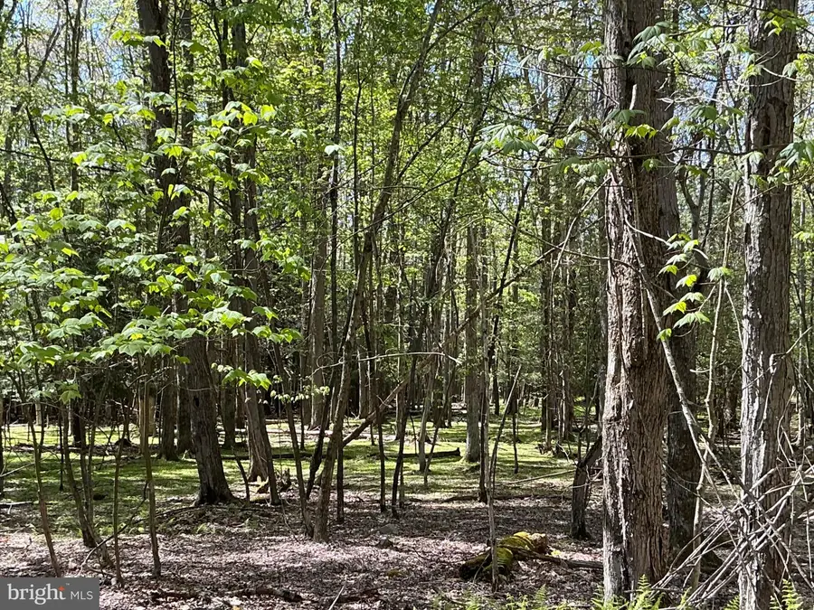 5 Acres Lake Shore Dr, Oakland, MD 21550 - #2