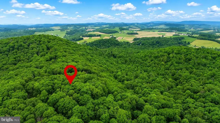 254 Little Mountain Rd, Oakland, MD 21550 - #2