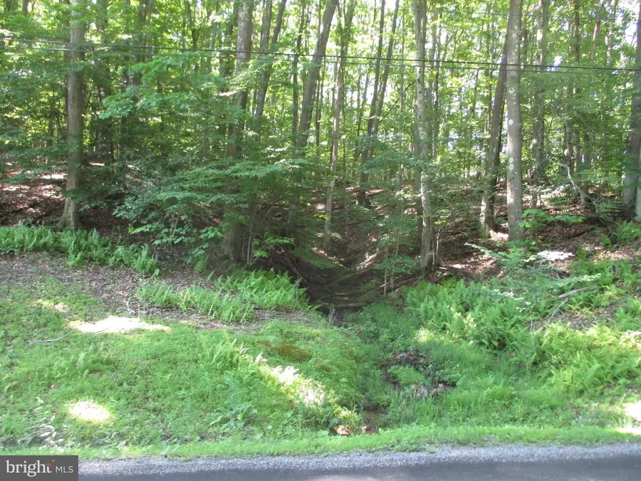 Approx. 1720 Lake Shore Dr, Oakland, MD 21550 - #3