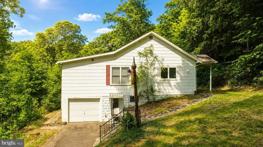 10805 Savage River Rd, Swanton, MD 21561 - #3