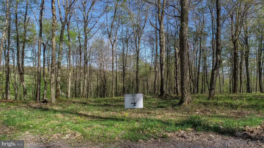 Lot 4 Lodestone Way, 6 Sang Run, MD 21541 - #3