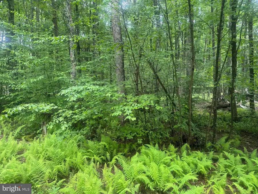 Quentin Ln, Oakland, MD 21550 - #2
