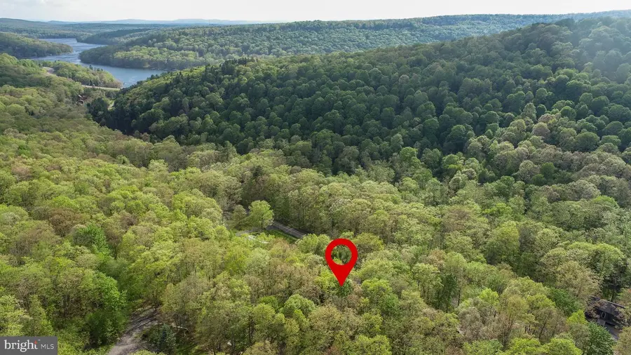 566 Gravelly Run Rd, McHenry, MD 21541 - #3