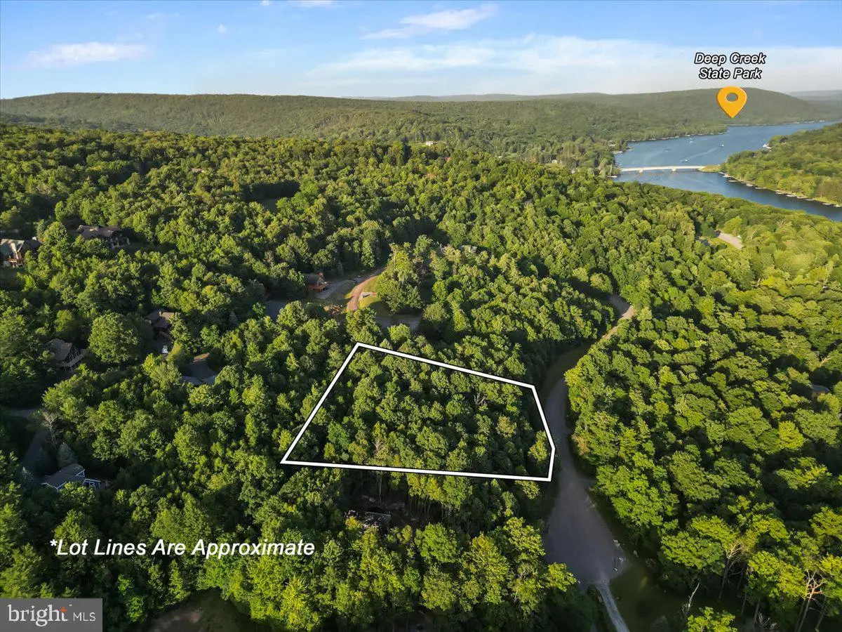 Lot 22 Marsh Hill Rd, McHenry, MD 21541 - #1