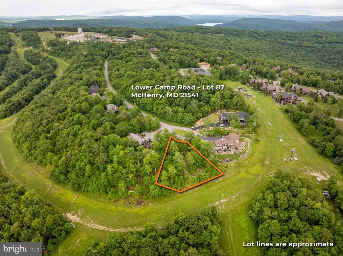 Lot 87 Lower Camp Rd, 6 Sang Run, MD 21541 - #1