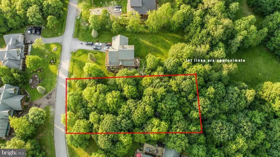 84 Mountaintop Rd, McHenry, MD 21541 - #2