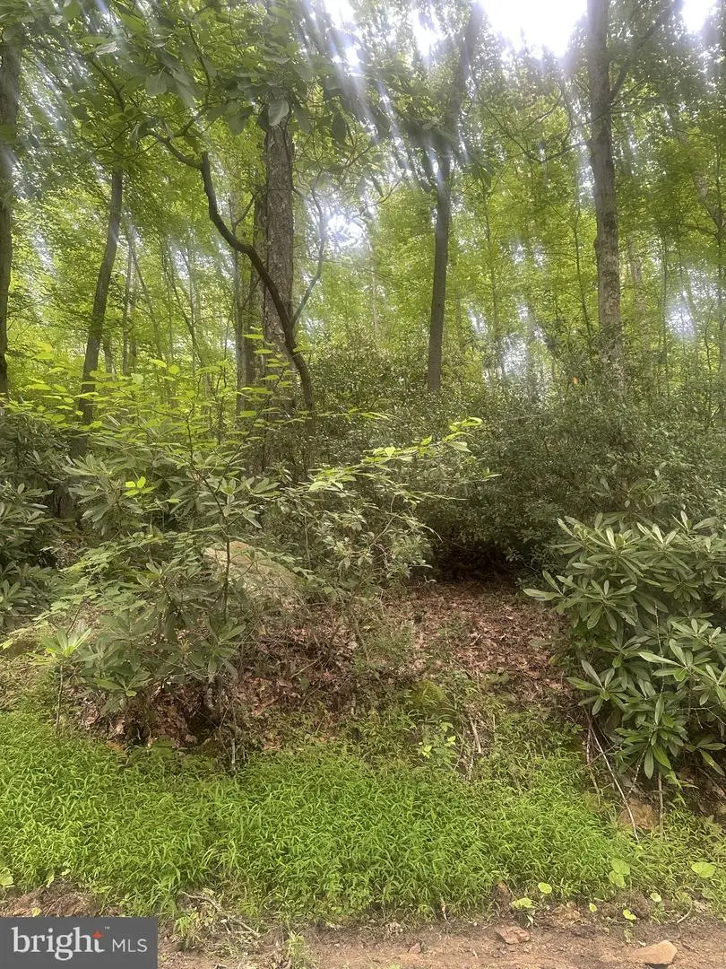 Bear Dr E, Oakland, MD 21550 - #1