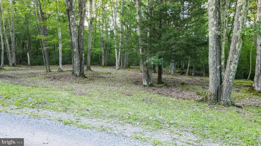 Lot 8 Stool Rock Rd, Oakland, MD 21550 - #3