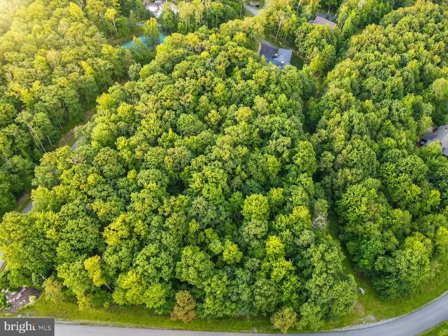 97 Mountaintop Rd, McHenry, MD 21541 - #3