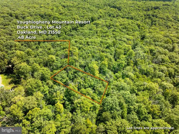 Grey Squirrel Rd, OAKLAND, MD 21550