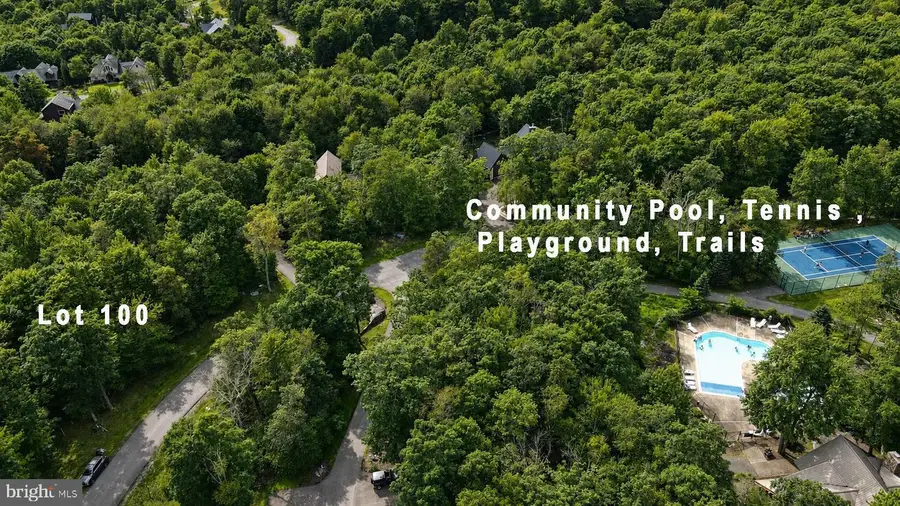 Lot 100 Deep Creek Highlands Rd, McHenry, MD 21541 - #3
