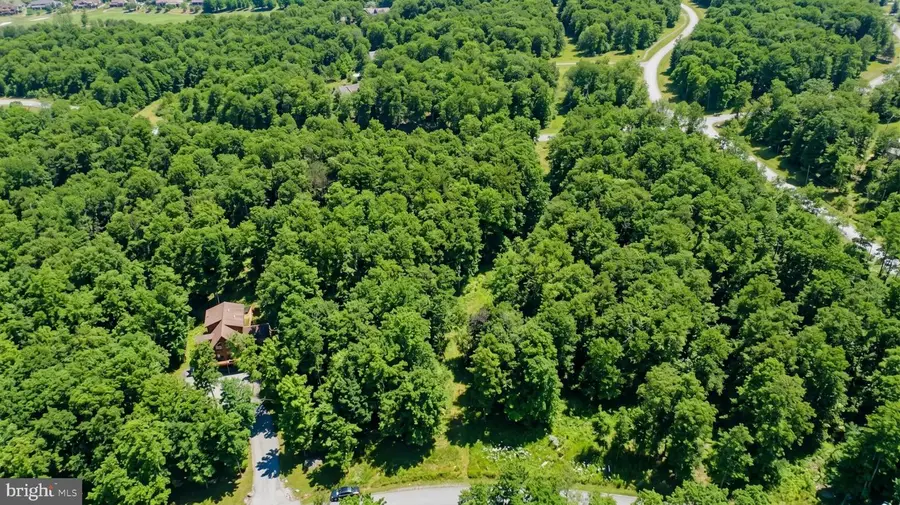 94 Mountaintop Rd, McHenry, MD 21541 - #2