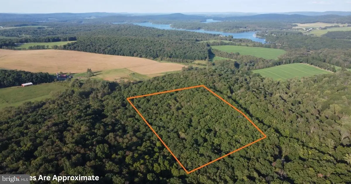 Lot 4 Hunters Ridge Dr, Oakland, MD 21550 - #1