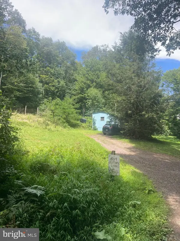 559 Guthrie Ln, GRANTSVILLE, MD 21536