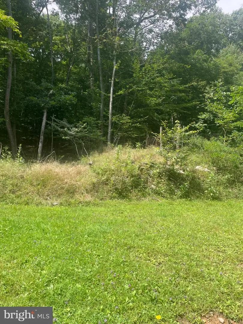 559 Guthrie Ln, Grantsville, MD 21536 - #3