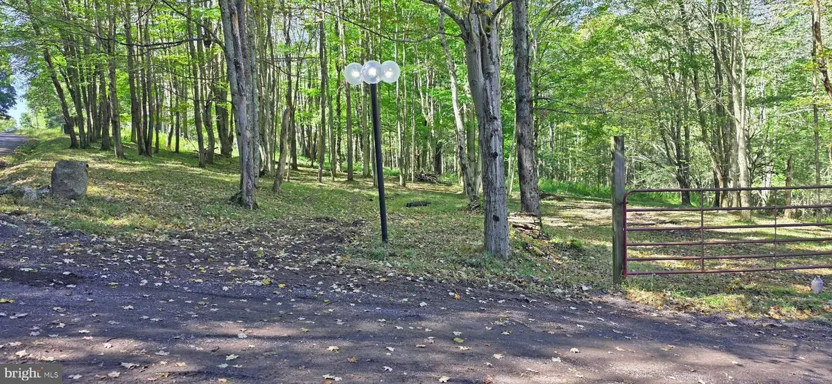 Parcel 100,lot 1 Rabbit Hollow Rd, Accident, MD 21520 - #1