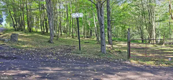 Parcel 100,lot 1 Rabbit Hollow Rd, ACCIDENT, MD 21520
