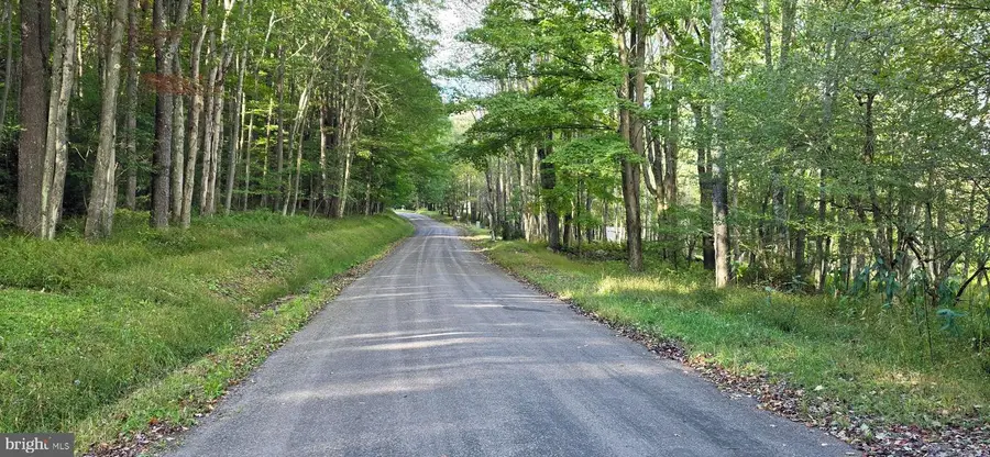 Parcel 100,lot 1 Rabbit Hollow Rd, Accident, MD 21520 - #3