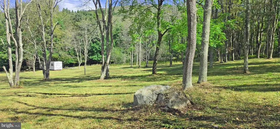 Parcel 101,lot 2 Rabbit Hollow Rd, Accident, MD 21520 - #2