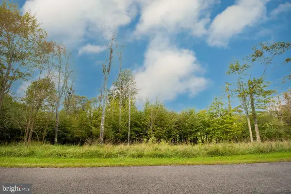 Lot 94 Lower Camp Rd, MCHENRY, MD 21541