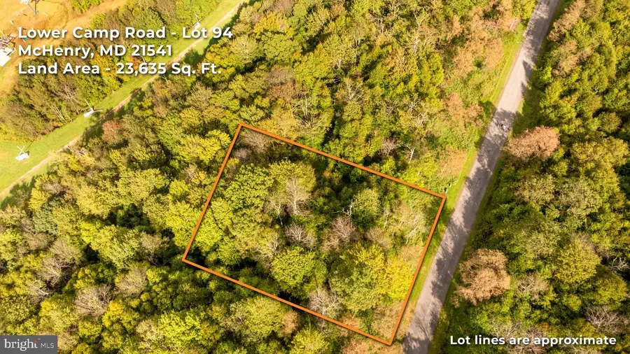 Lot 94 Lower Camp Rd, McHenry, MD 21541 - #3
