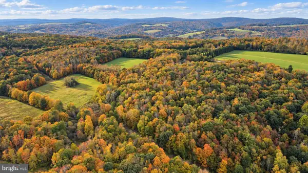 163.12 Acres Bittinger Rd, GRANTSVILLE, MD 21536