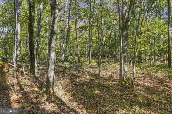 .94 Acres Mosser, MCHENRY, MD 21541