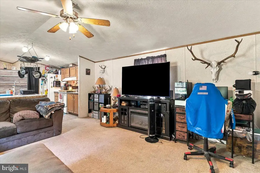 1351 Miller Rd, Grantsville, MD 21536 - #3