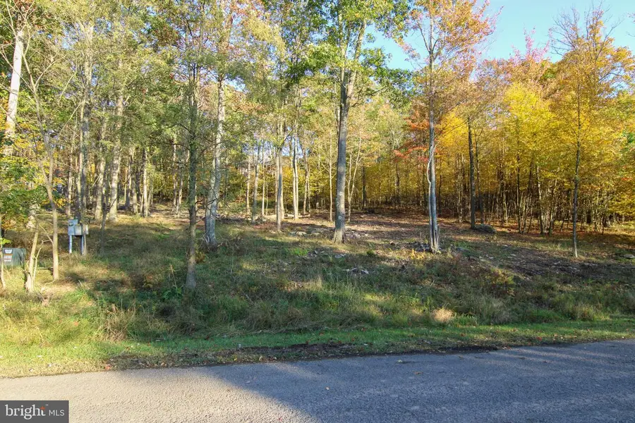 Lot 97 Birdsong Way, McHenry, MD 21541 - #3