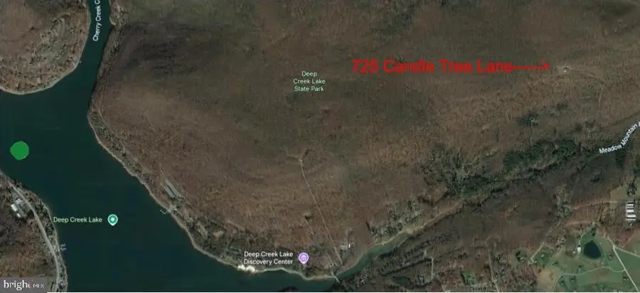 725 Candle Tree Ln, Swanton, MD 21561 - #2