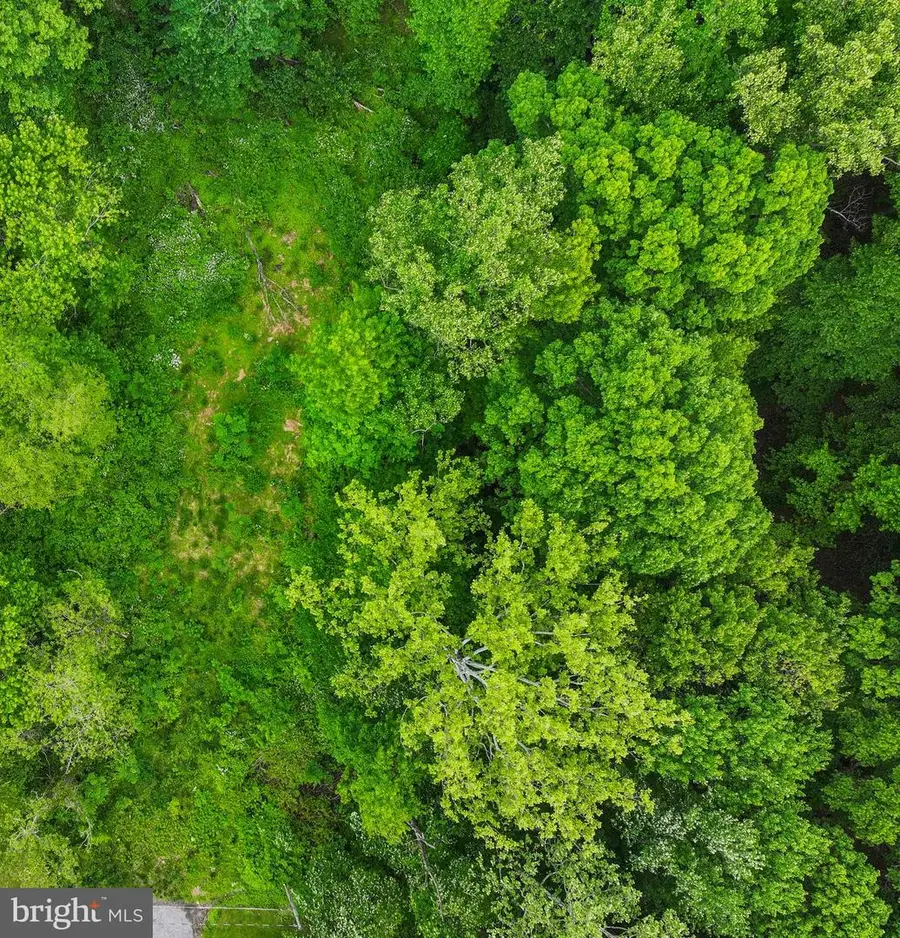 Evan Ave, Aberdeen, MD 21001 - #3