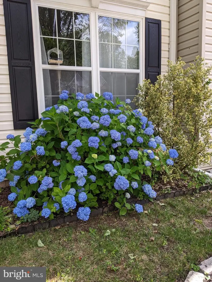 725 Shallow Ridge Ct, Abingdon, MD 21009 - #3