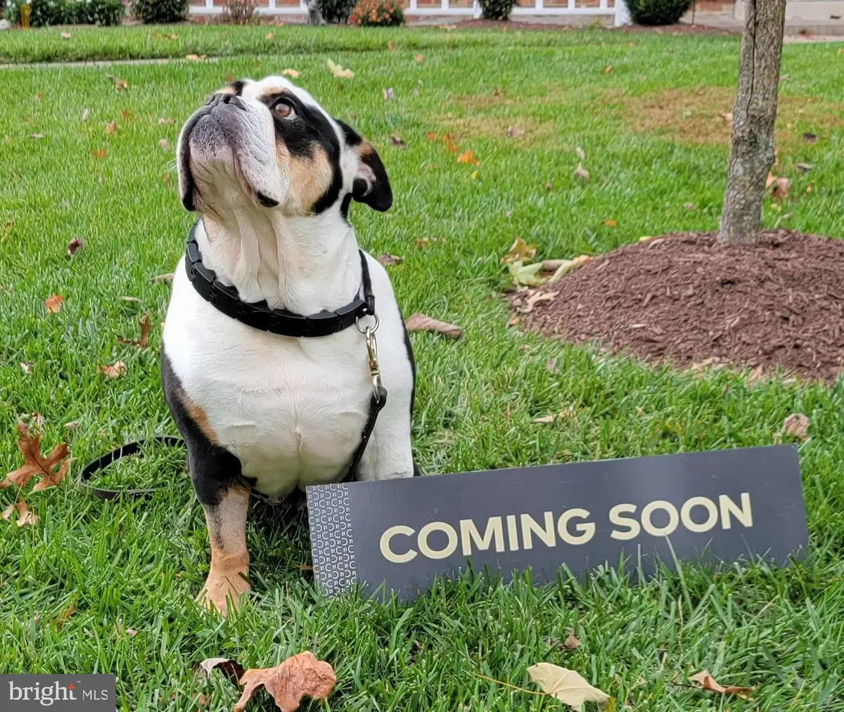 721 Paul Dr, Aberdeen, MD 21001 - #1