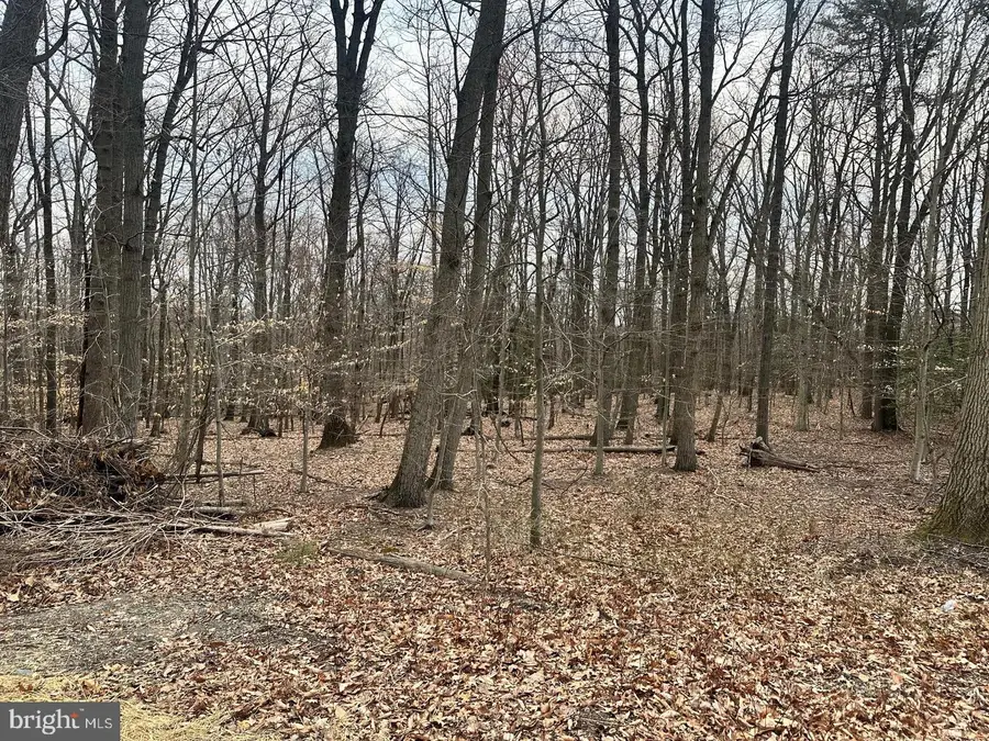 2507 Mountain Rd, Joppa, MD 21085 - #2